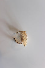Load image into Gallery viewer, Gold Hoops
